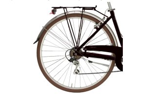 Bicicleta de paseo clásica
