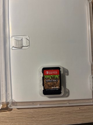 Minecraft Nintendo Switch