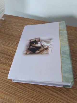 Álbum Hofmann para 100 fotos,  baile