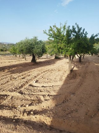 Venta de casa apero con terreno agrícola