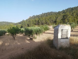 Venta de casa apero con terreno agrícola