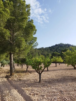 Venta de casa apero con terreno agrícola