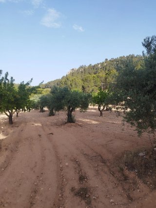 Venta de casa apero con terreno agrícola