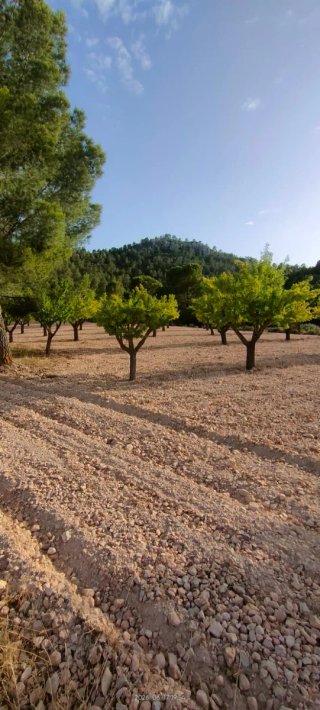 Venta de casa apero con terreno agrícola