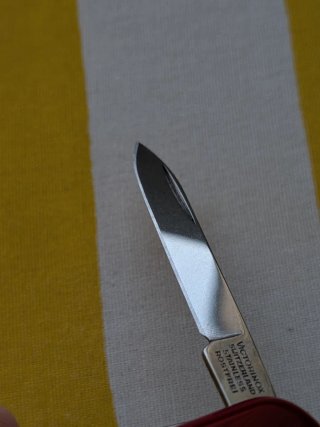 Victorinox Farmacéutico