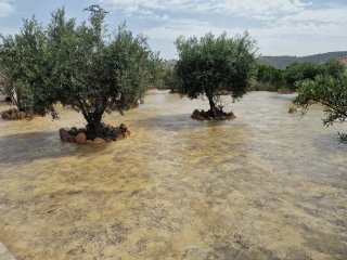 Hormigón impreso para exteriores