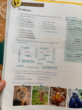 Lengua 4 Primaria : Operación Mundo