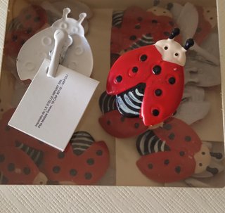Segnaposto Coccinelle Bomboniera Laurea