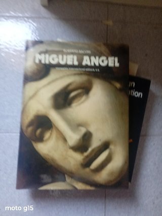 6 Libros arte