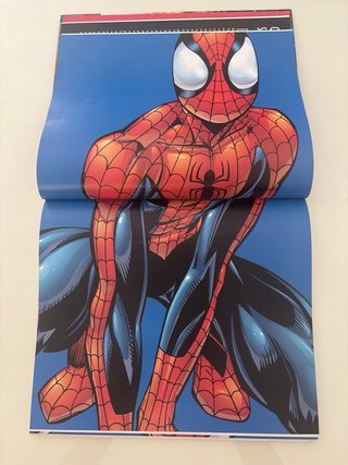 SPIDERMAN. LA VERSION DEFINITIVA