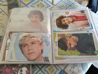 Cromos Panini One Direction