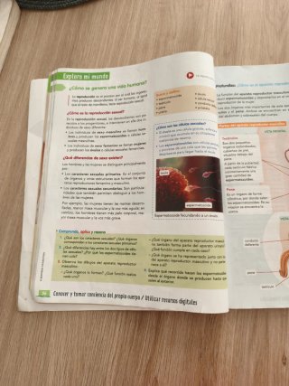 CIENCIAS DE LA NATURALEZA 6 (COMUNIDAD ZOOM)