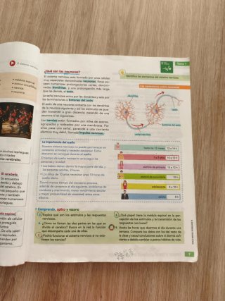 CIENCIAS DE LA NATURALEZA 6 (COMUNIDAD ZOOM)