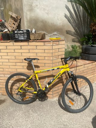 Bicicleta BTT Alpinestars CSR500 Amarilla