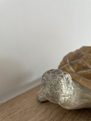 Tortuga Decorativa Resina Dorada