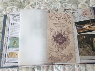 Libro Los tesoros de Harry Potter