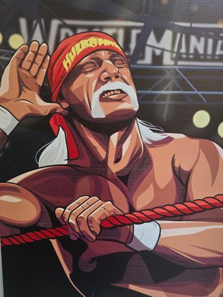 Quadro Hulk Hogan WWE 40x60 cm