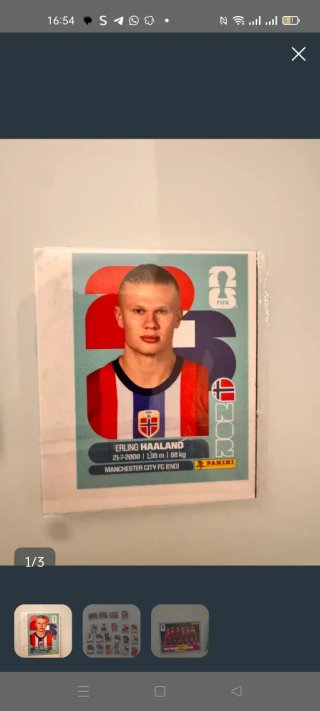 Cromos Mundial Erling Haaland Panini