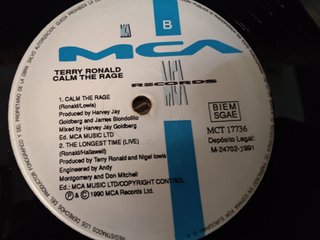 Vinilo Terry Ronald - Calm The Race