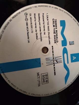 Vinilo Terry Ronald - Calm The Race