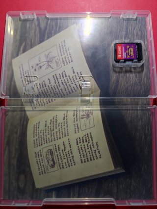 Pokemon Violetto Nintendo Switch #A3046