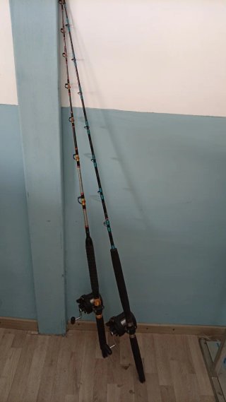 2 Canne da pesca con mulinelli