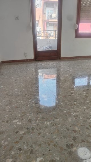 Pulidor de suelo profesional