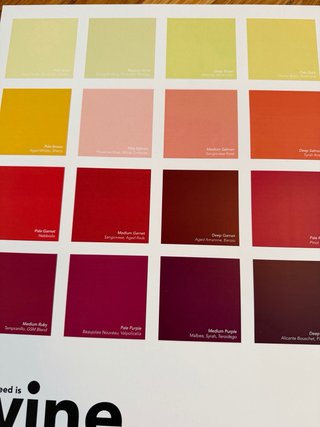 2 Poster A3 Wine - Tavola Vinometrica