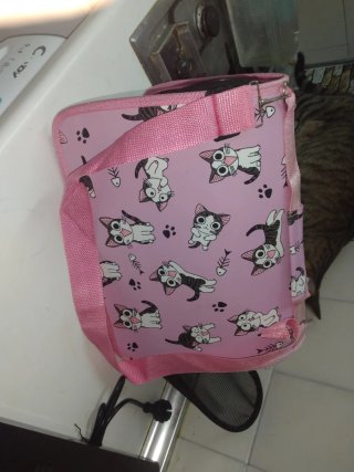 Transportín para gatos chicos,  con estampado