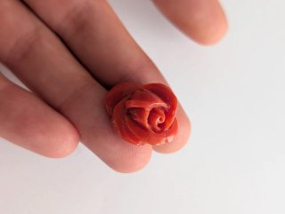 Rosa antigua tallada coral