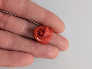 Rosa antigua tallada coral