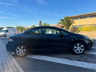 Peugeot 307 2007