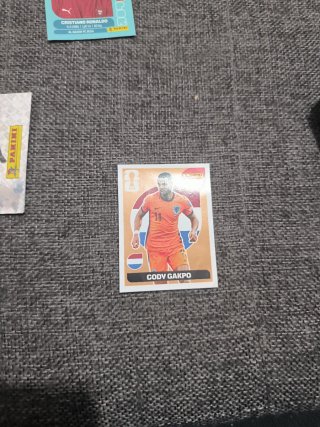 Cromo Cody Gakpo Panini