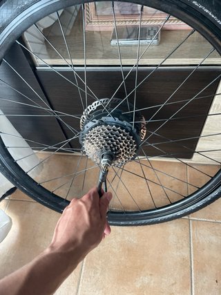 Rueda bici eléctrica con disco freno