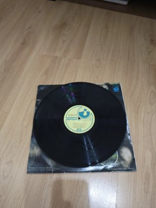 Vinile Pink Floyd