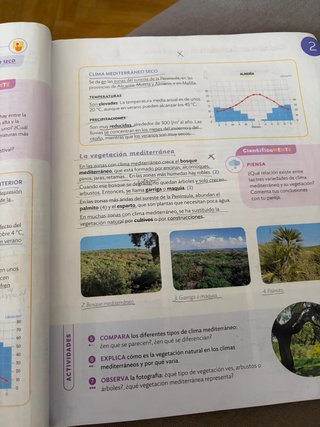 Ciencias sociales 5 Primaria : Proyecto Constru...