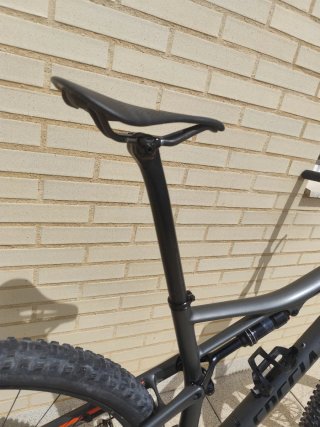 Specialized Epic Expert 29"