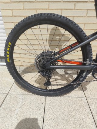 Specialized Epic Expert 29"