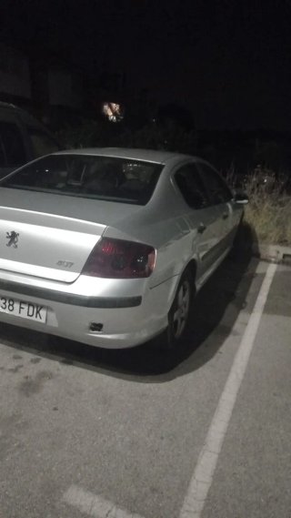 Peugeot 407 2007