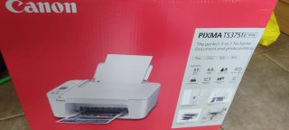 Impresora Canon PIXMA error limpiar rodillos