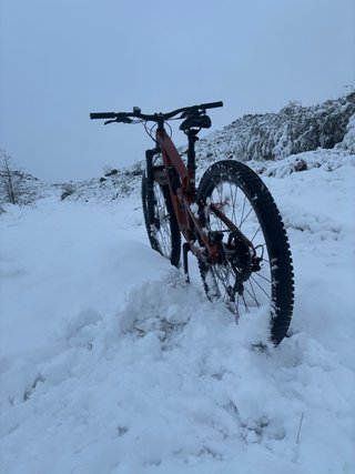 Bicicleta de montaña TREK FUEL EX
