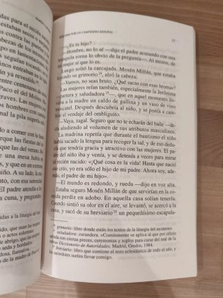 Requiem por un campesino español