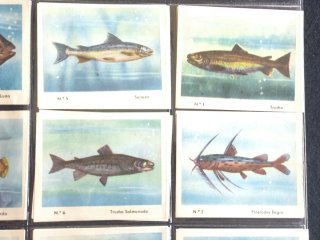 Serie completa cromos peces Ceregumil años 60