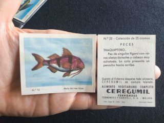 Serie completa cromos peces Ceregumil años 60