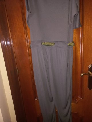 Mono gris con detalles verdes