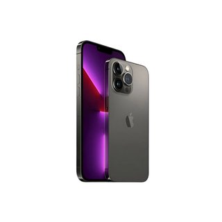 iPhone 13 Pro Gris
