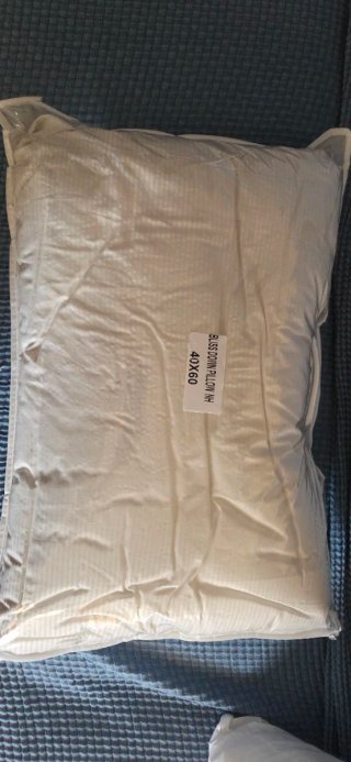 Almohadas Antiacaro 60x40cm (2 unidades)