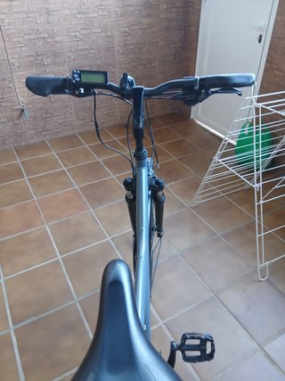 Bicicleta eléctrica Talla L