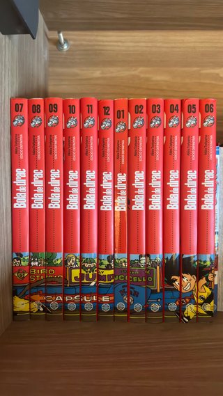 Libros Bola de Drac
