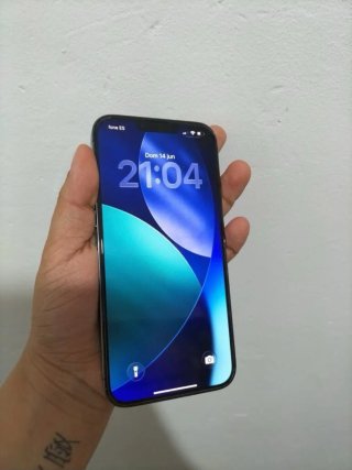 iPhone 13 Pro Max 256GB